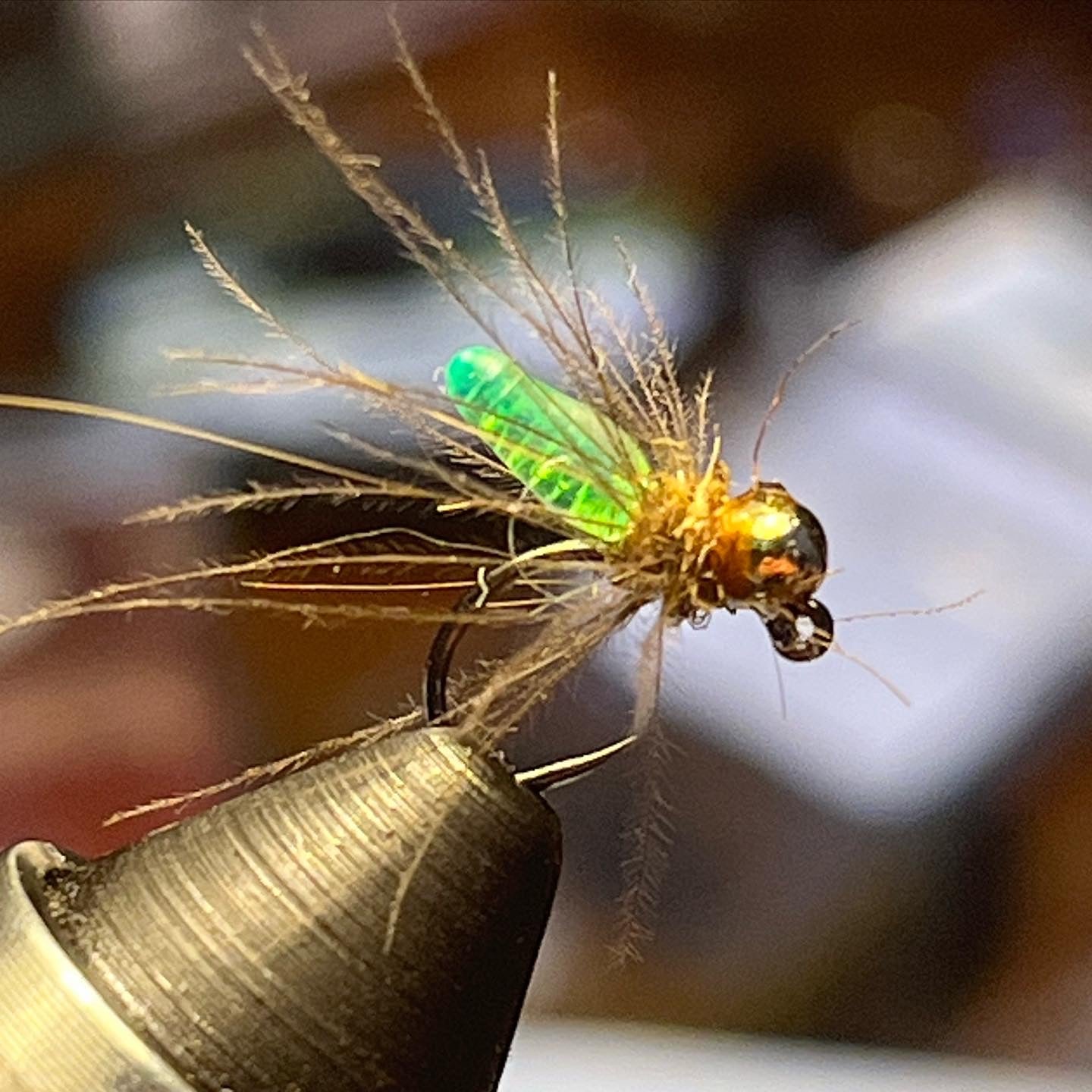 Juan’s Kryptonite Caddis