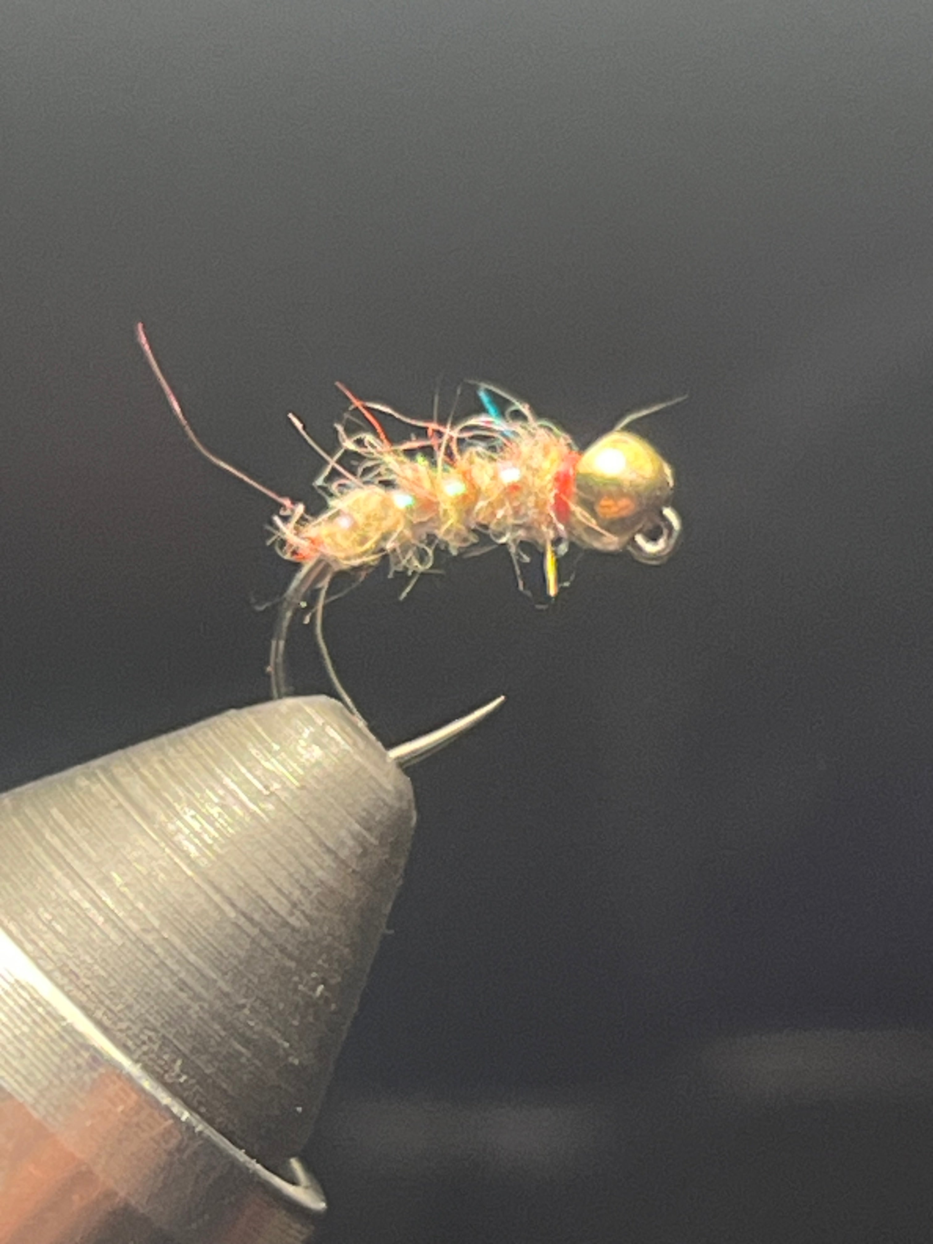 Sexy Walt’s Worm